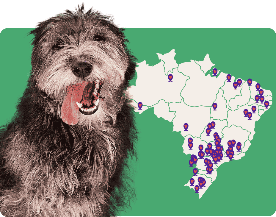 Mapa do Brasil com concentração de clínicas credenciadas e cachorro sorrindo